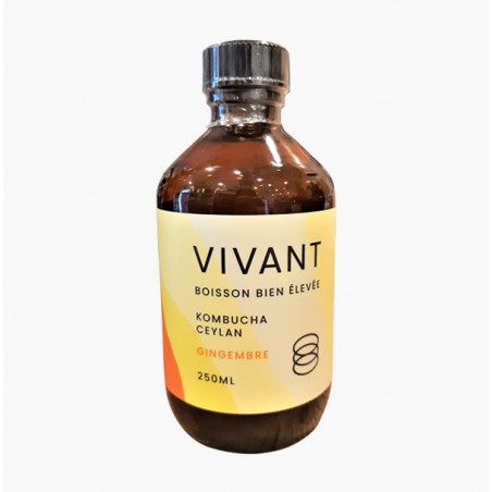KOMBUCHA GINGEMBRE 250ML - VIVANT